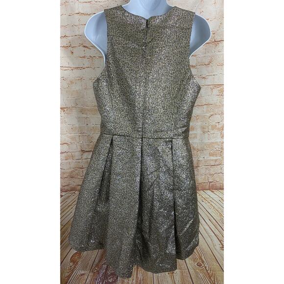 SB by Sachin & Babi Metallic Fit & Flare Mesh V-Neck Mini Party Dress Sz 10 Gold - Picture 9 of 11